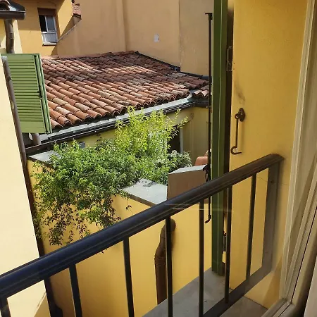 Griffoni 7 Bologna