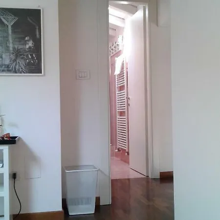 Griffoni 7 4*